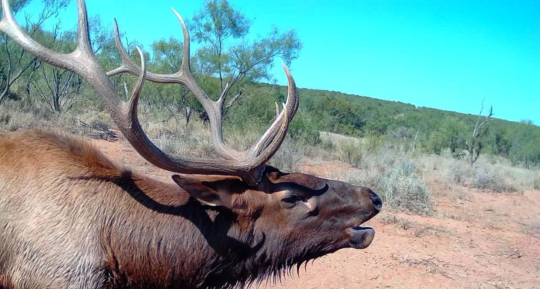 Valhalla Ranch property picture 3 of 80