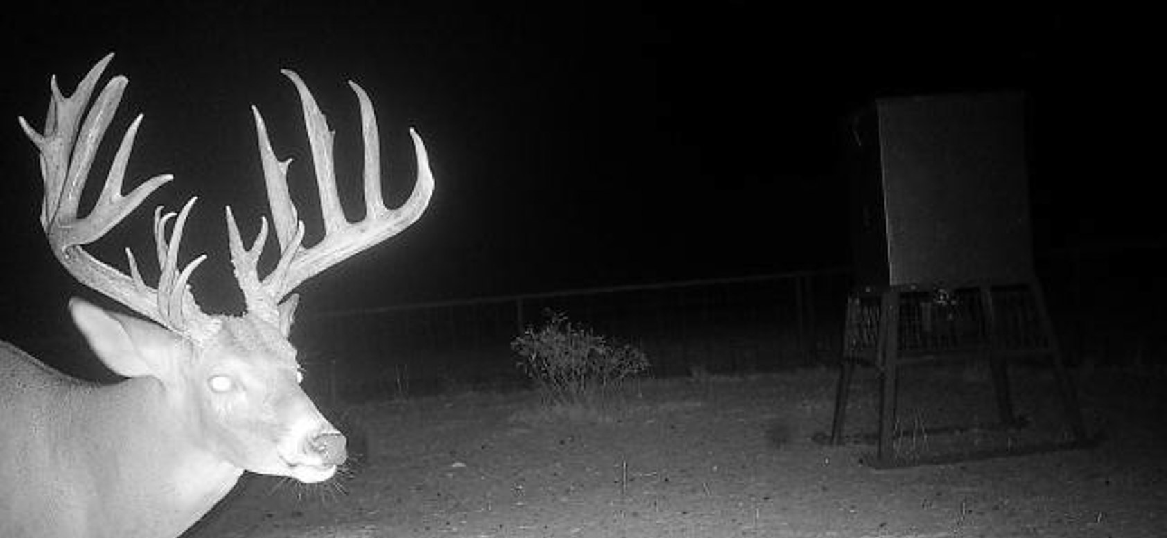 Valhalla Ranch property picture 1 of 80