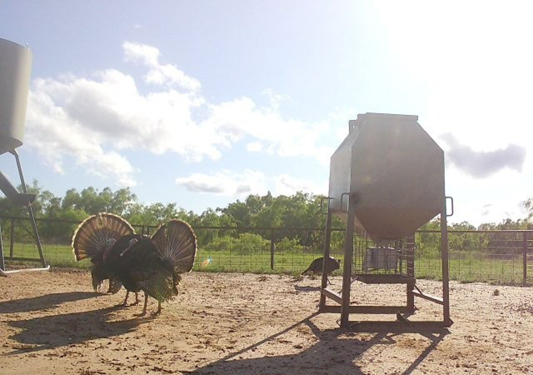 Valhalla Ranch property picture 38 of 80