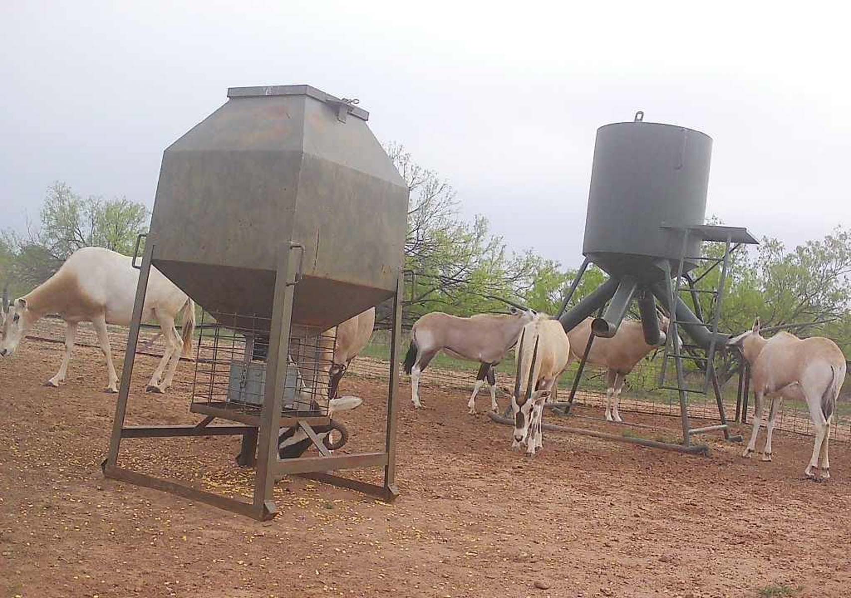 Valhalla Ranch property picture 40 of 80