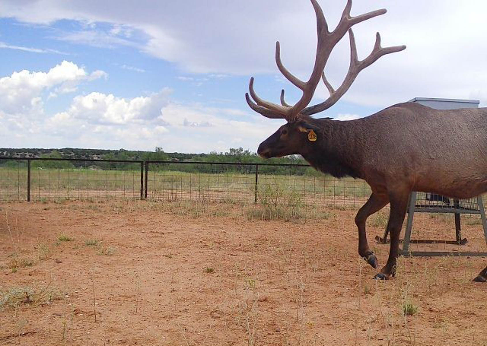 Valhalla Ranch property picture 49 of 80