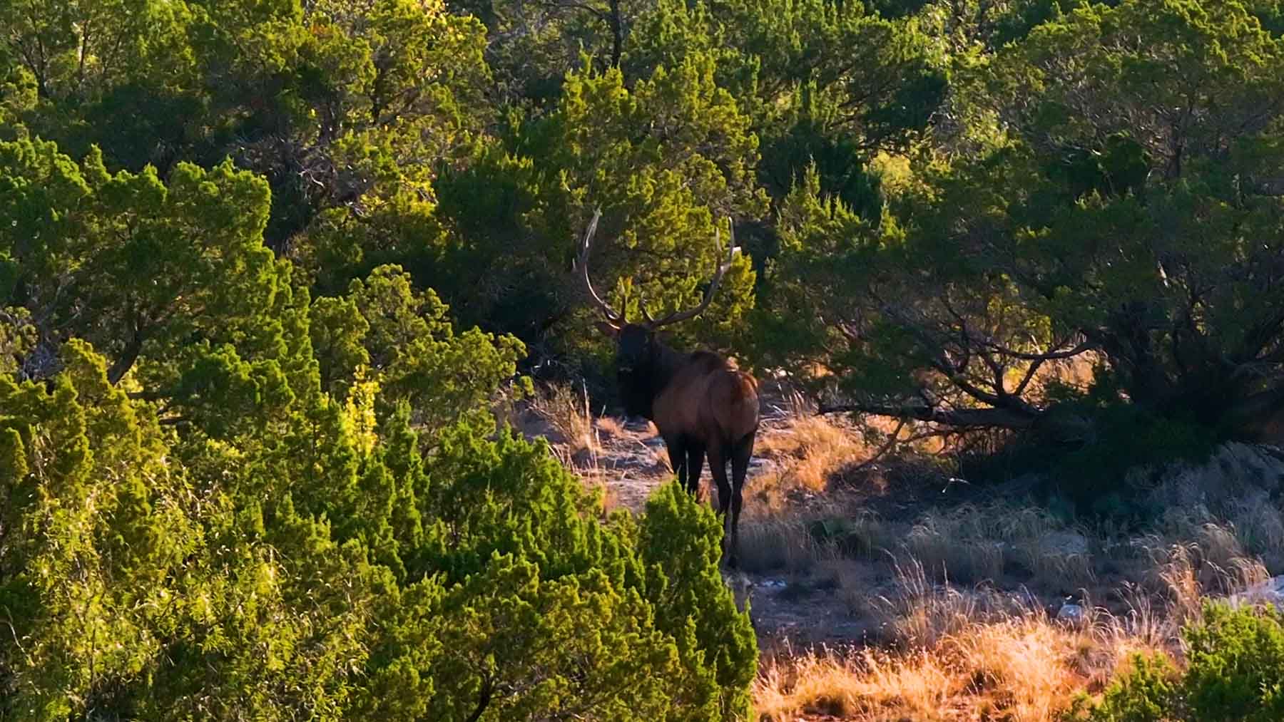 Valhalla Ranch property picture 14 of 80