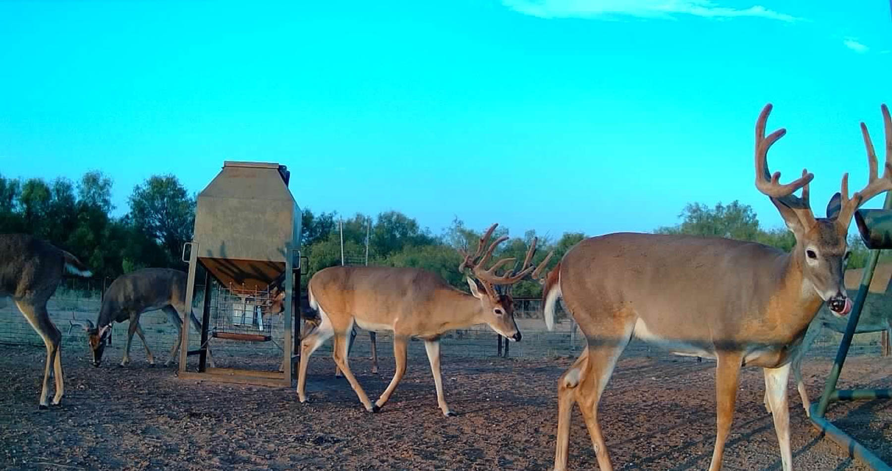 Valhalla Ranch property picture 67 of 80