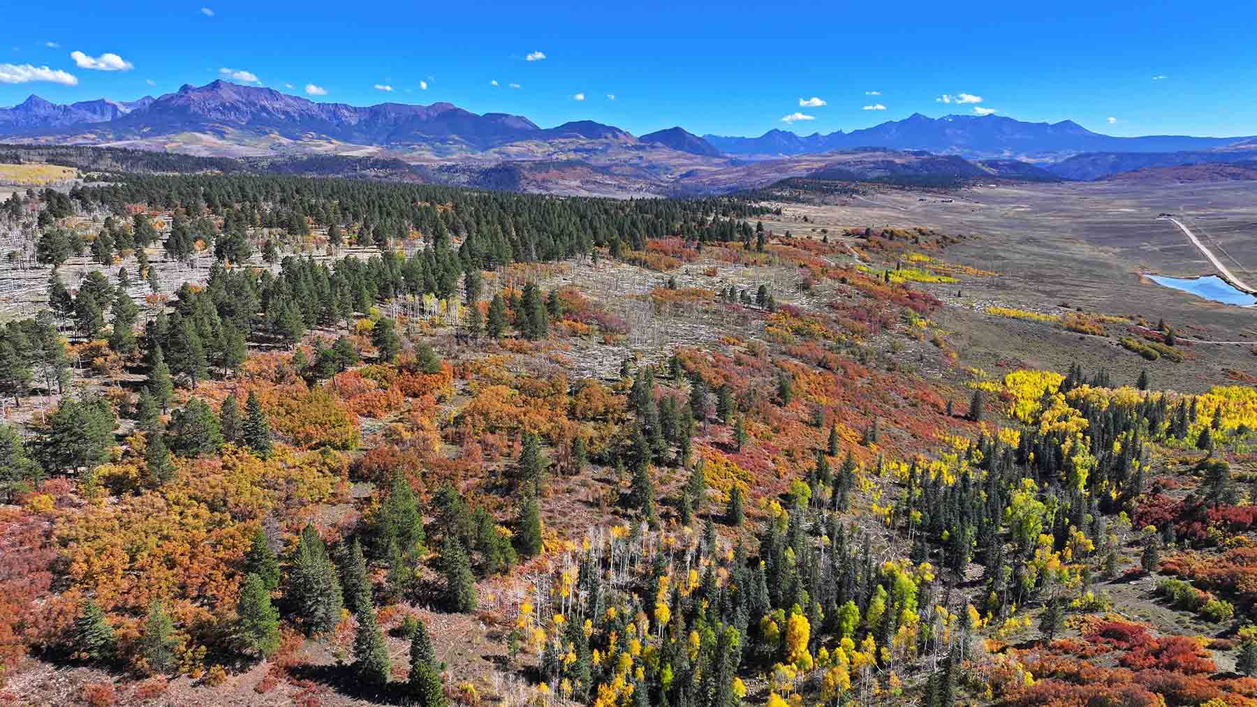 Wilson Bar Ranch property picture 11 of 58