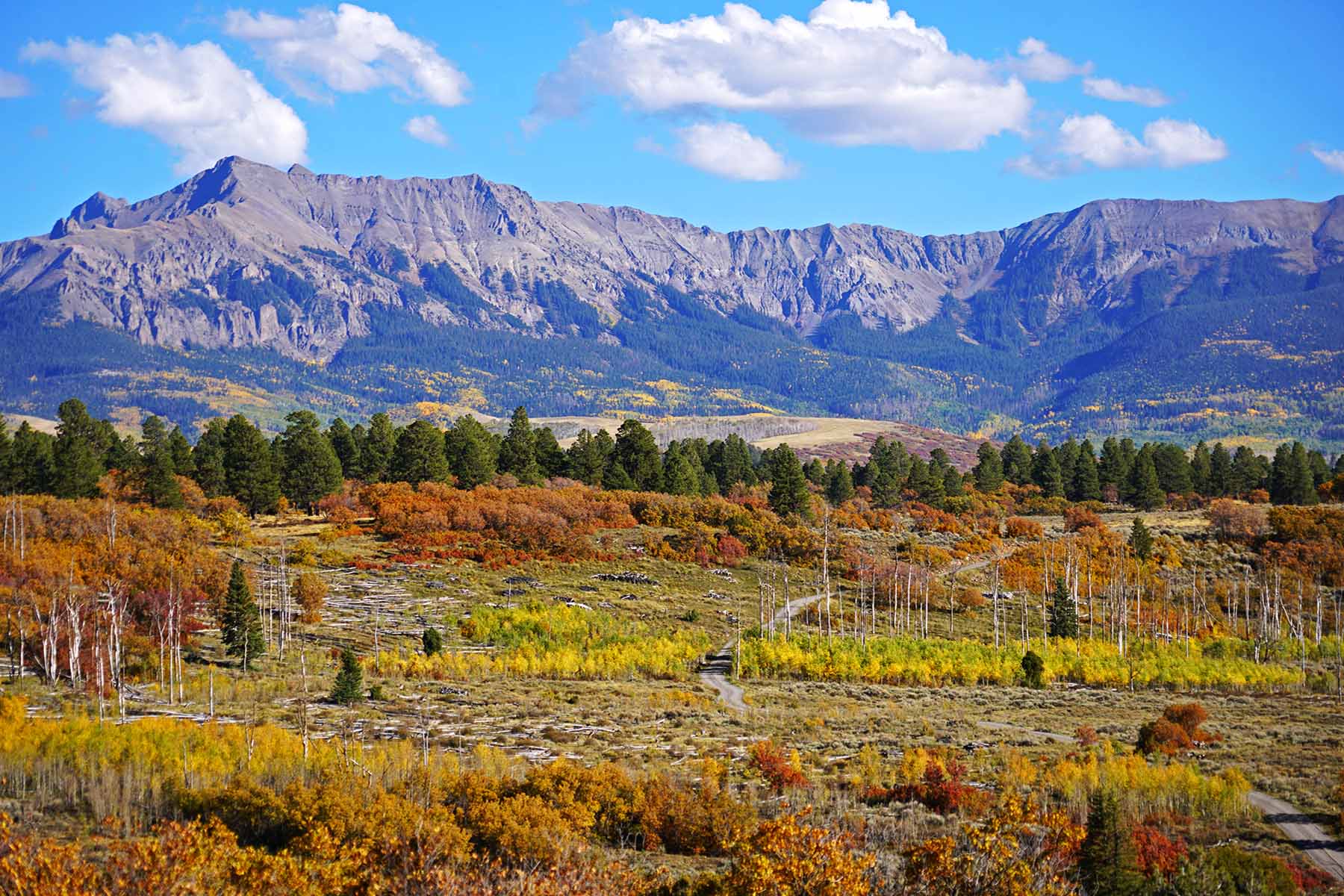 Wilson Bar Ranch property picture 27 of 58