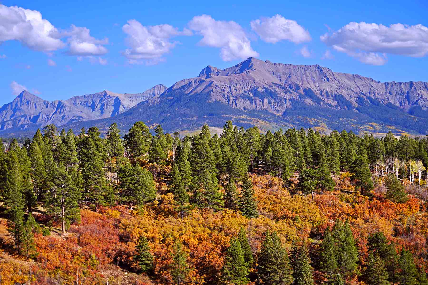 Wilson Bar Ranch property picture 53 of 58