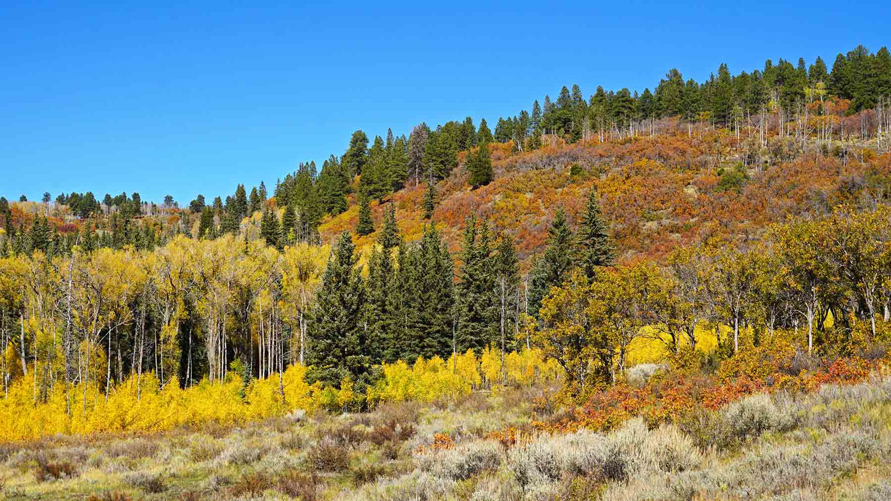 Wilson Bar Ranch property picture 6 of 58