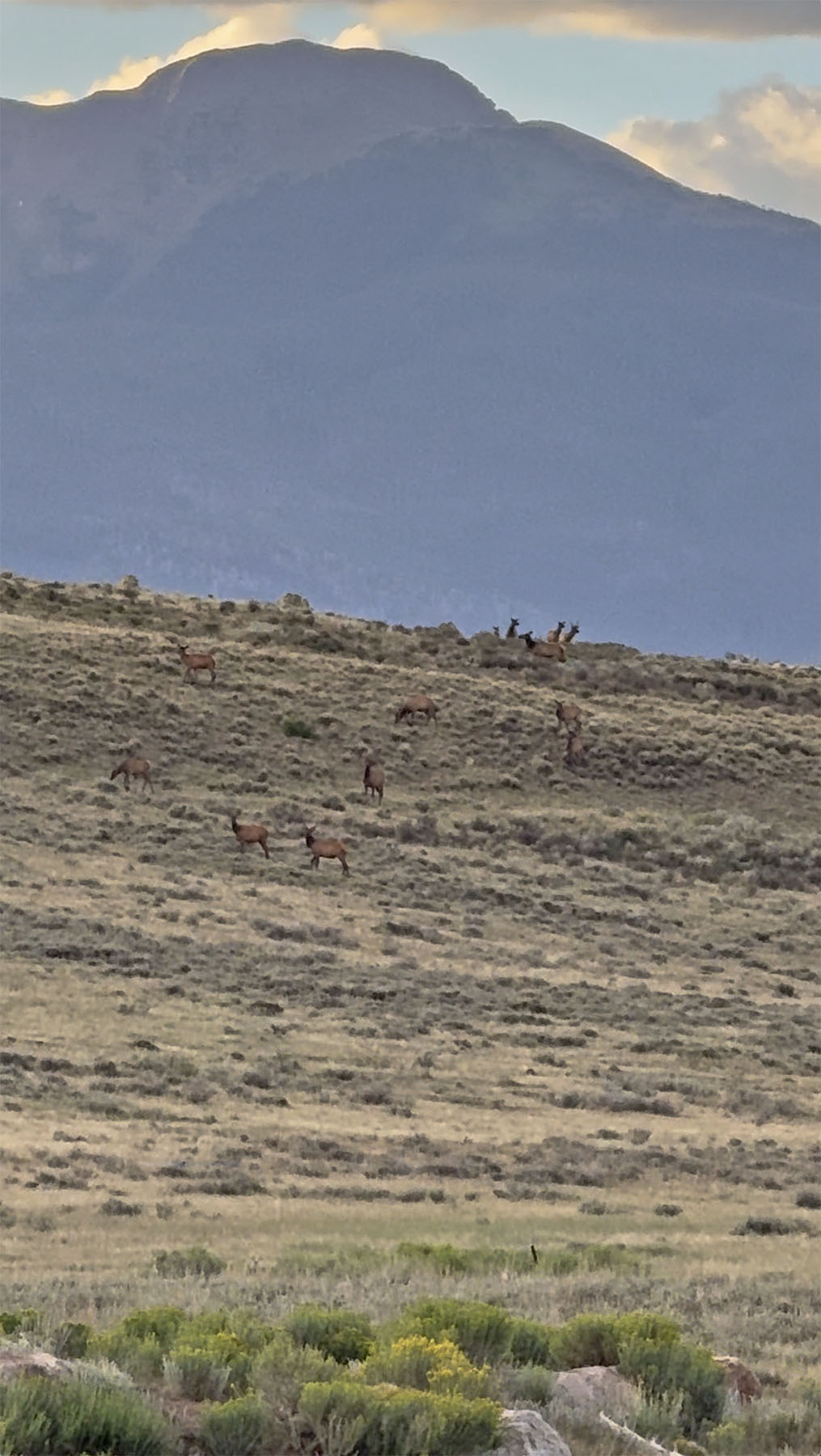 Wilson Bar Ranch property picture 32 of 58