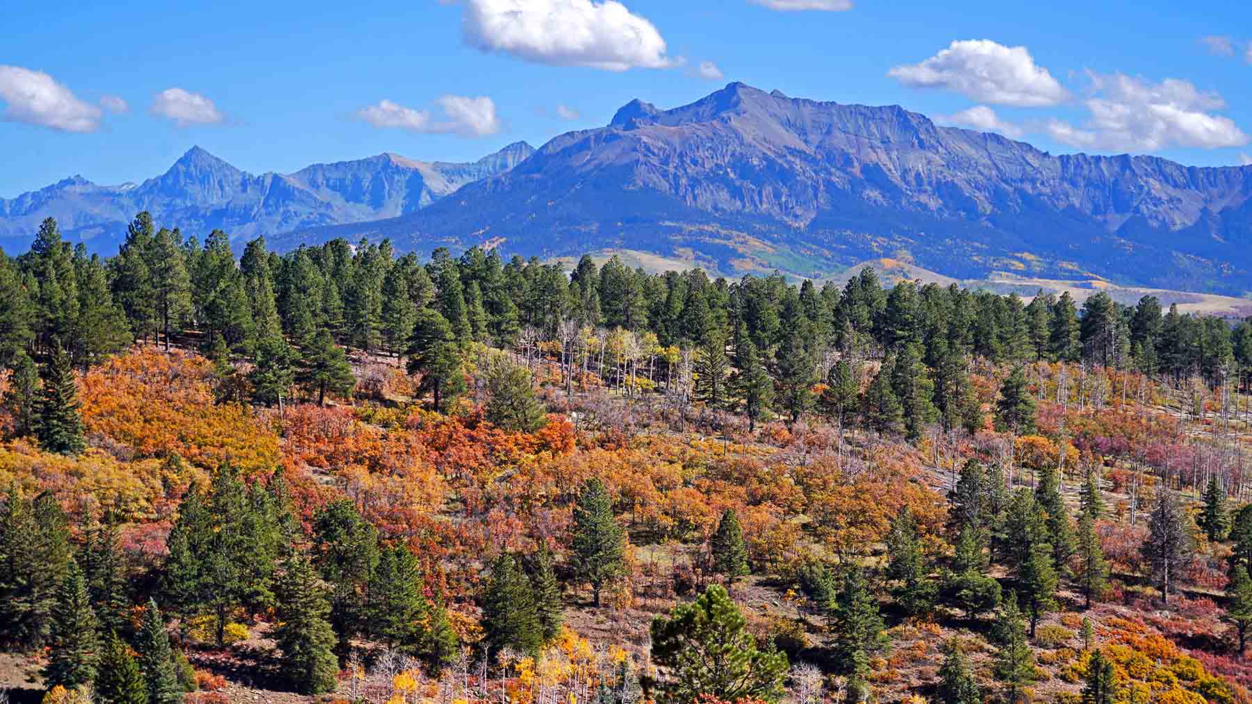 Wilson Bar Ranch property picture 33 of 58