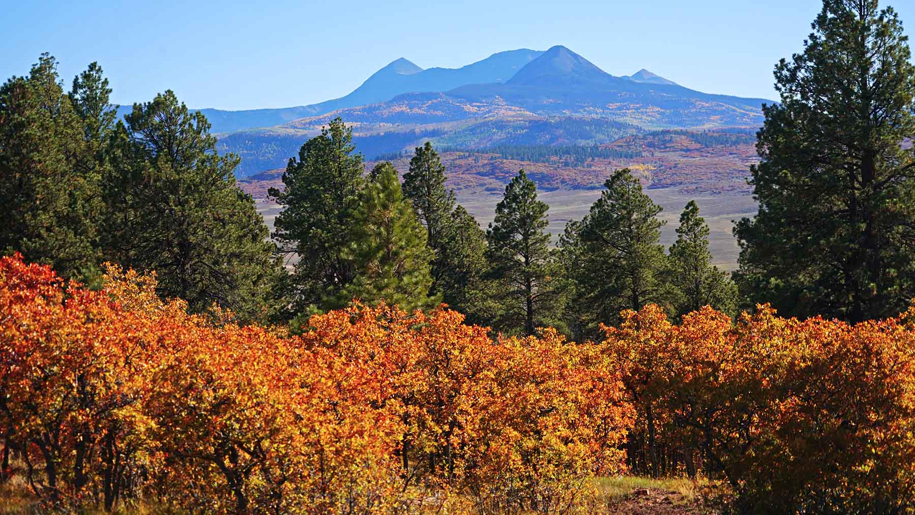 Wilson Bar Ranch property picture 13 of 58