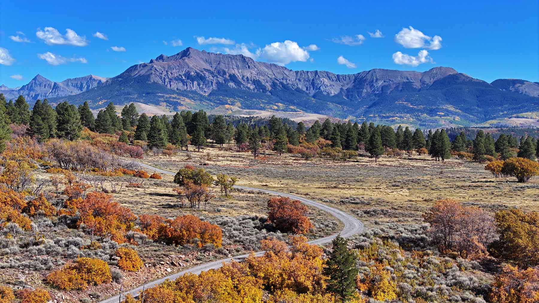 Wilson Bar Ranch property picture 20 of 58