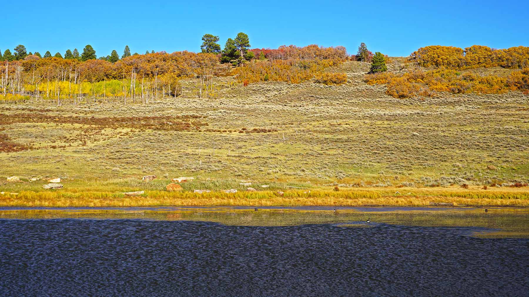 Wilson Bar Ranch property picture 26 of 58