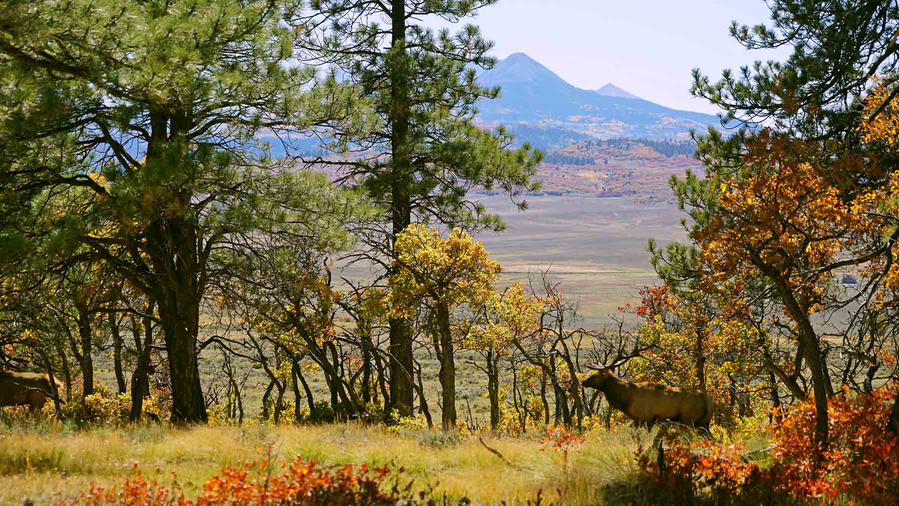 Wilson Bar Ranch property picture 16 of 58