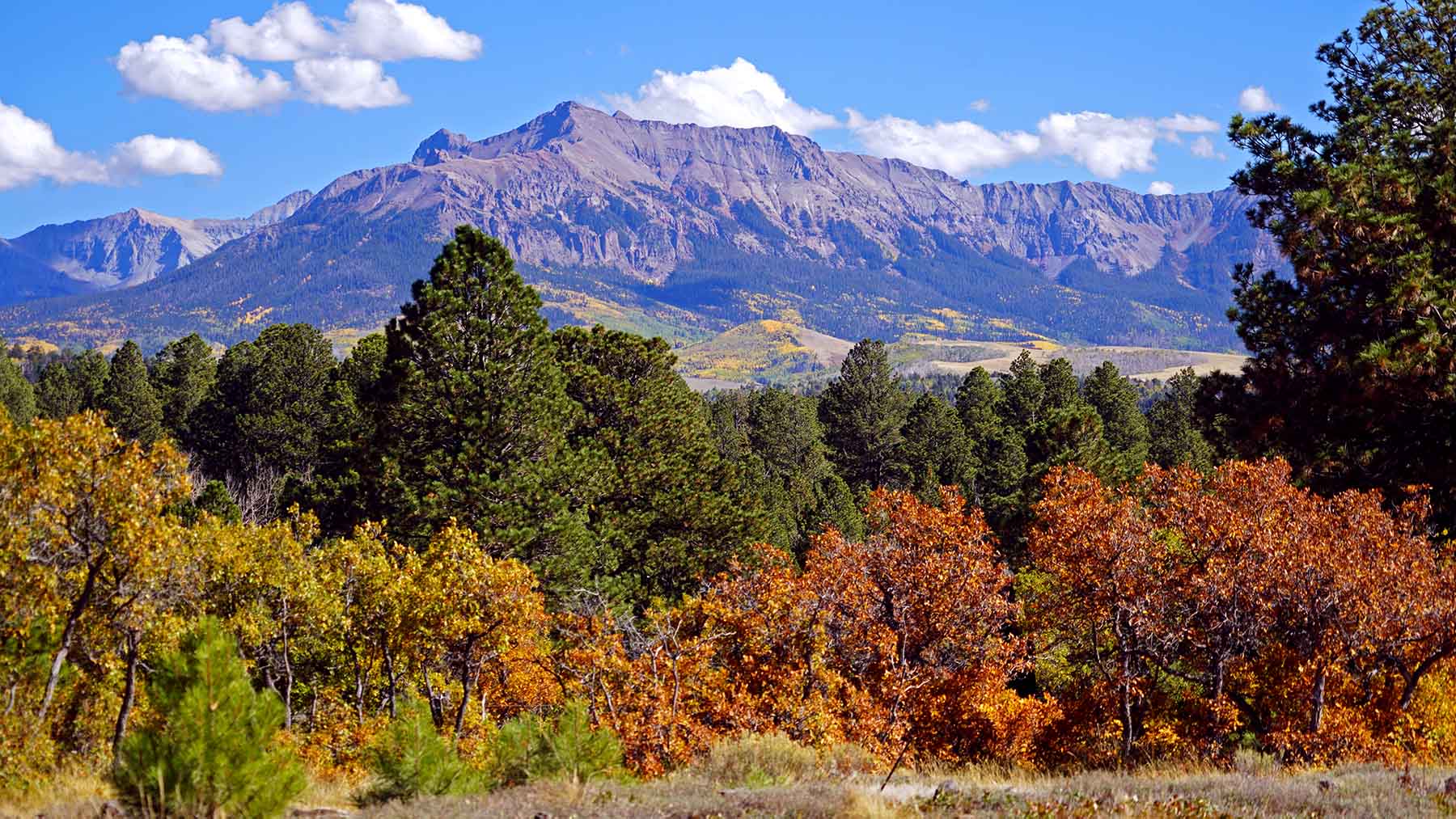 Wilson Bar Ranch property picture 22 of 58