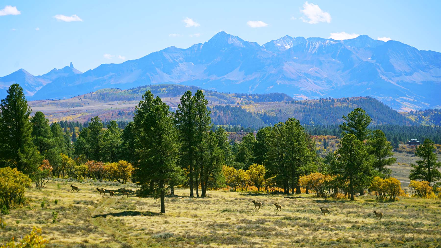 Wilson Bar Ranch property picture 7 of 58
