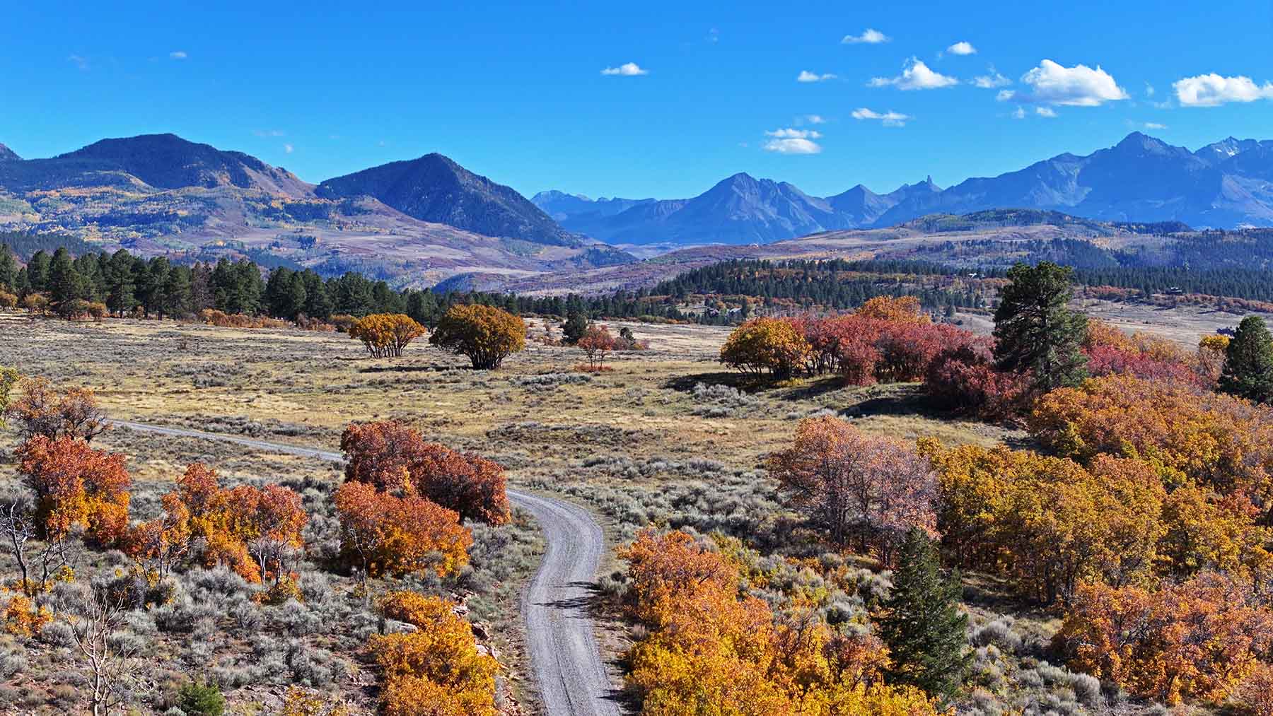 Wilson Bar Ranch property picture 14 of 58