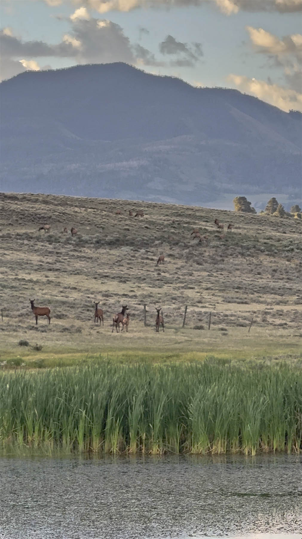 Wilson Bar Ranch property picture 31 of 58