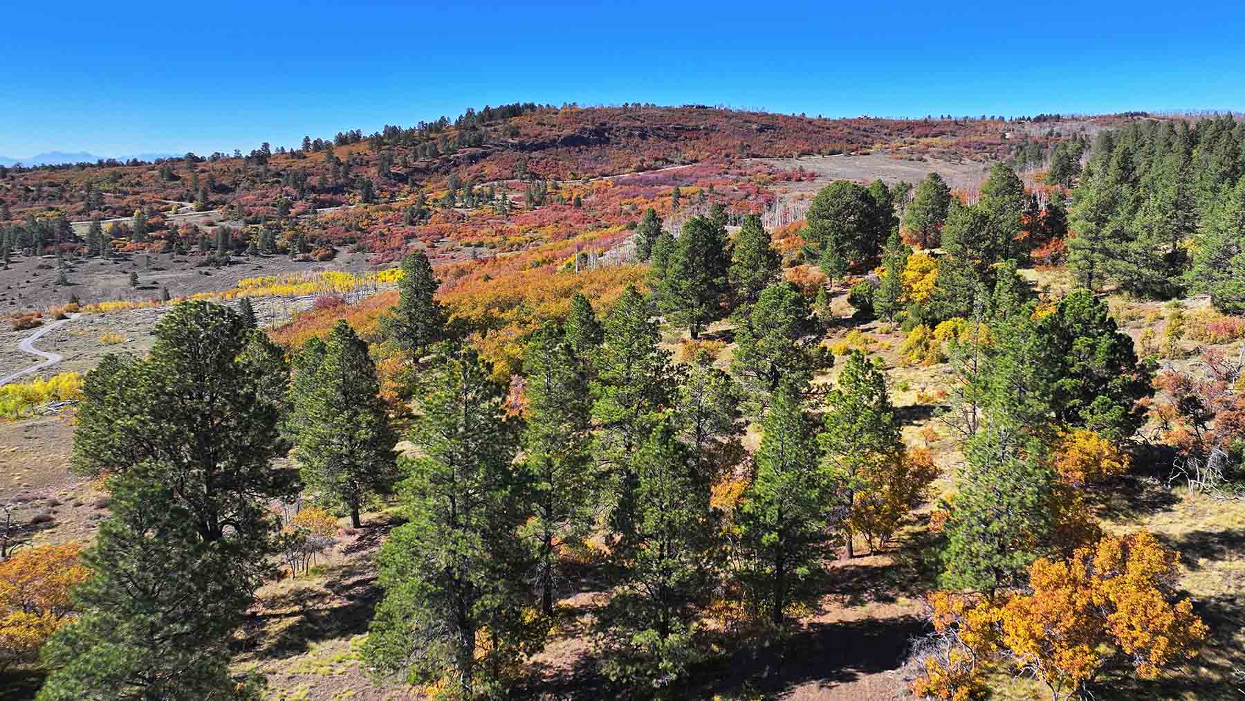 Wilson Bar Ranch property picture 10 of 58