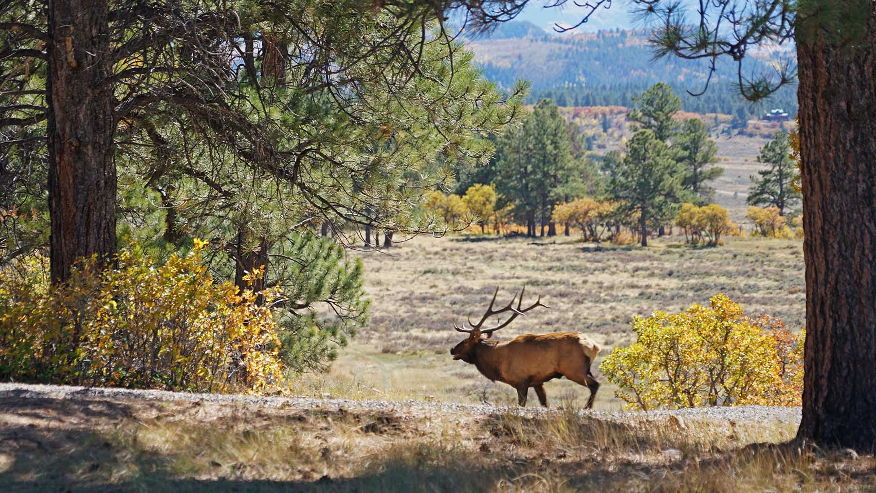 Wilson Bar Ranch property picture 8 of 58