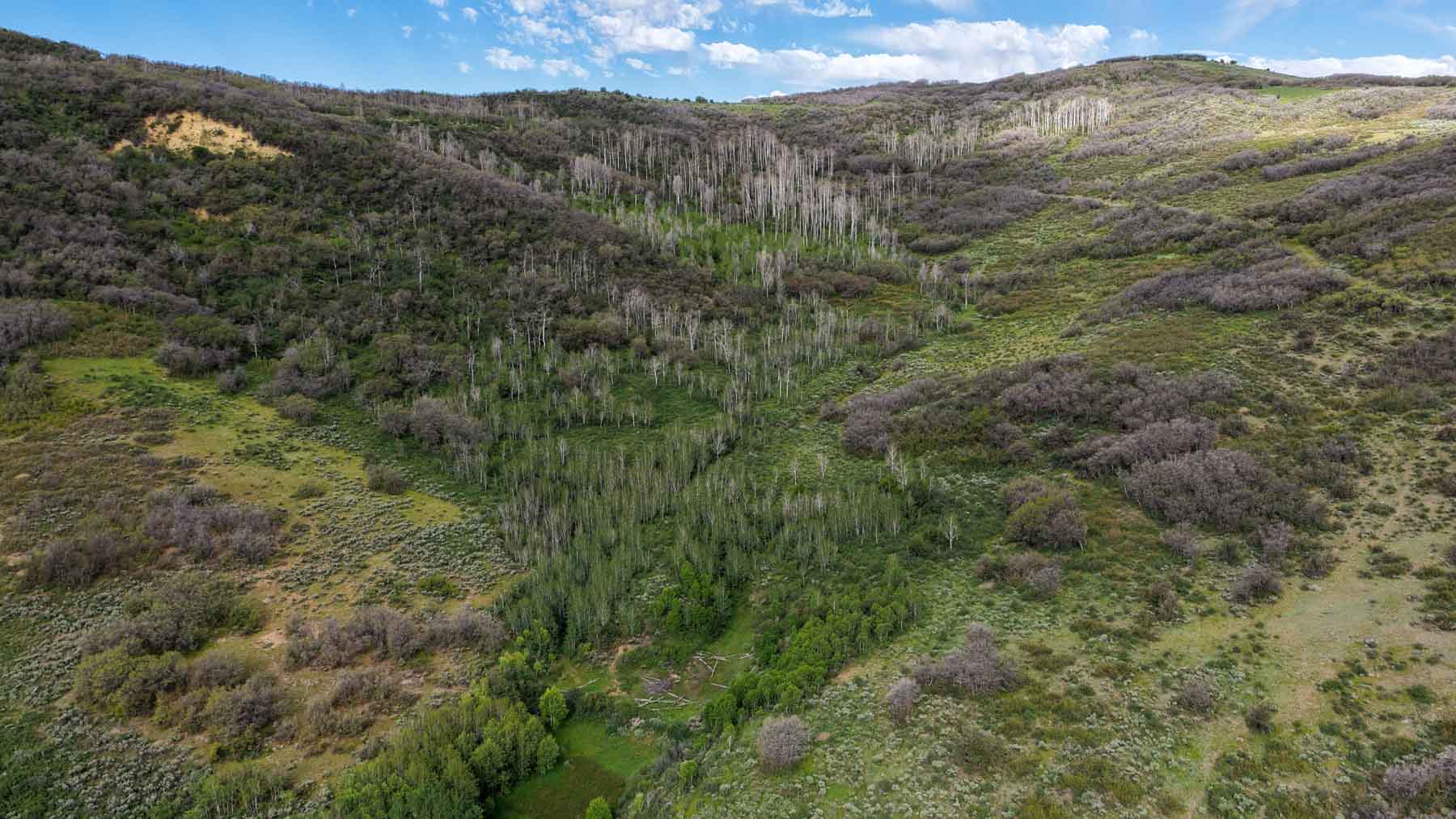 Cottonwood Ranch property picture 64 of 65