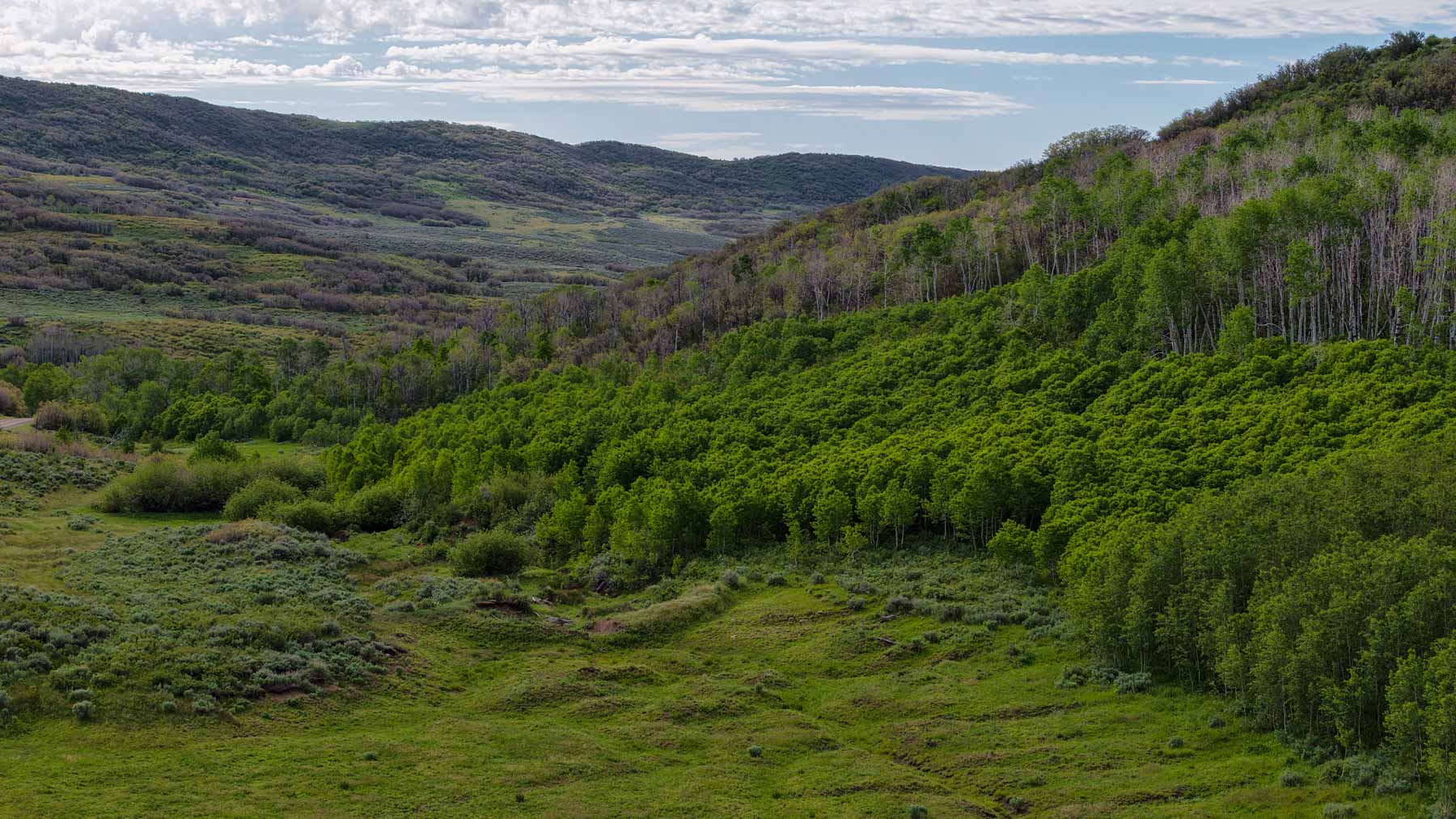 Cottonwood Ranch property picture 62 of 65