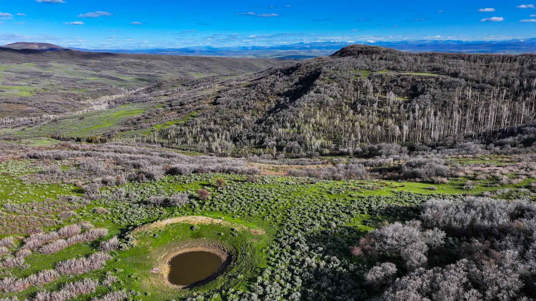 Cottonwood Ranch property picture 27 of 52