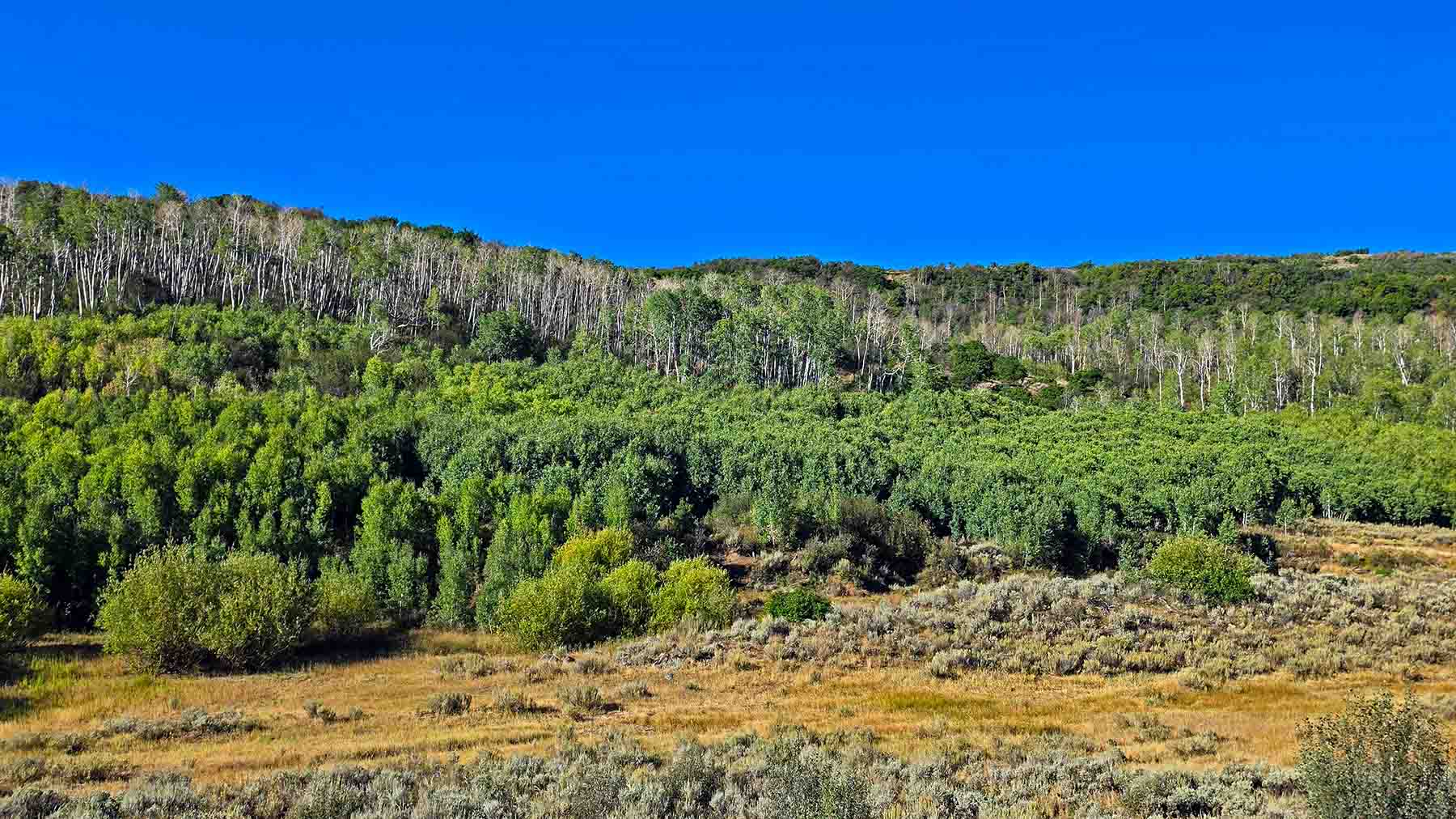 Cottonwood Ranch property picture 26 of 29