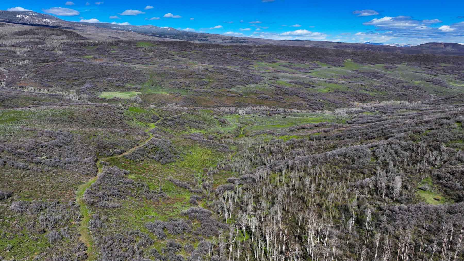 Cottonwood Ranch property picture 6 of 52