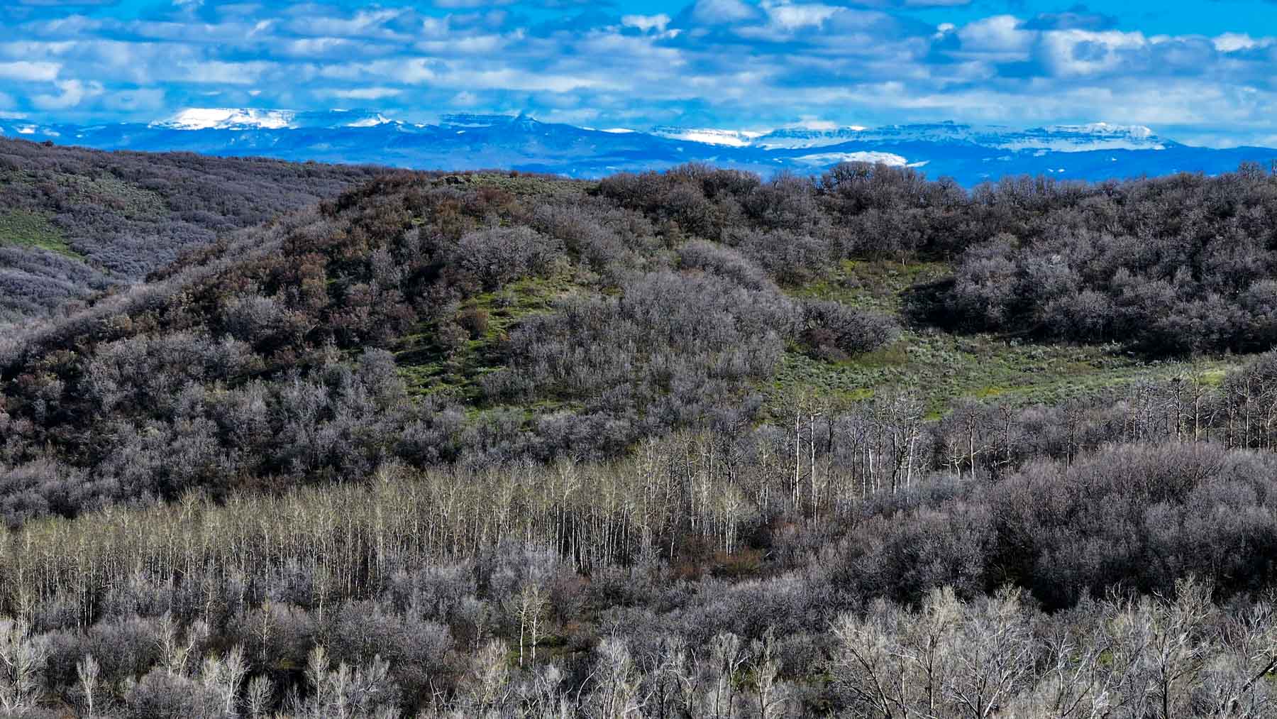 Cottonwood Ranch property picture 16 of 52