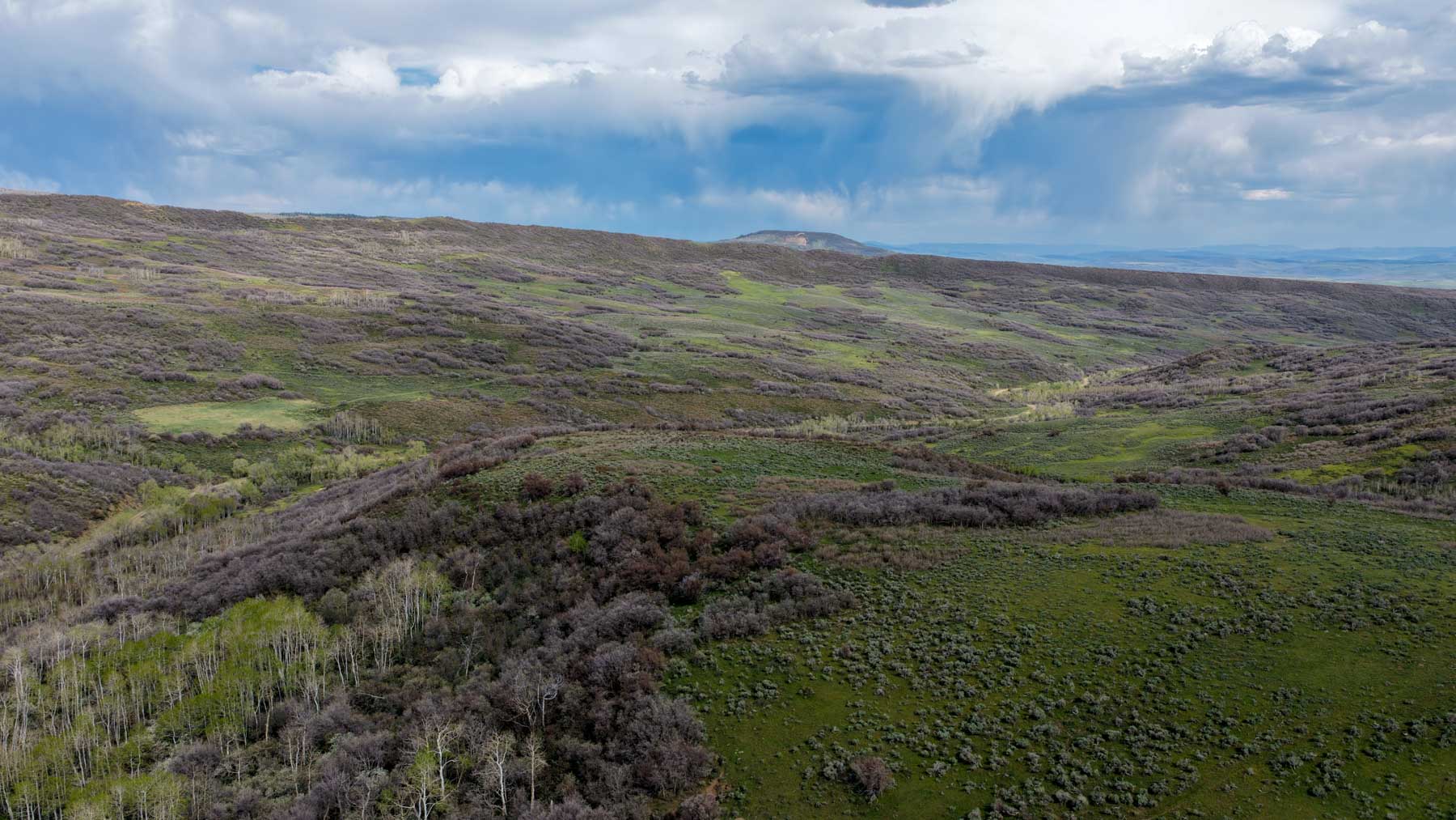 Cottonwood Ranch property picture 39 of 52