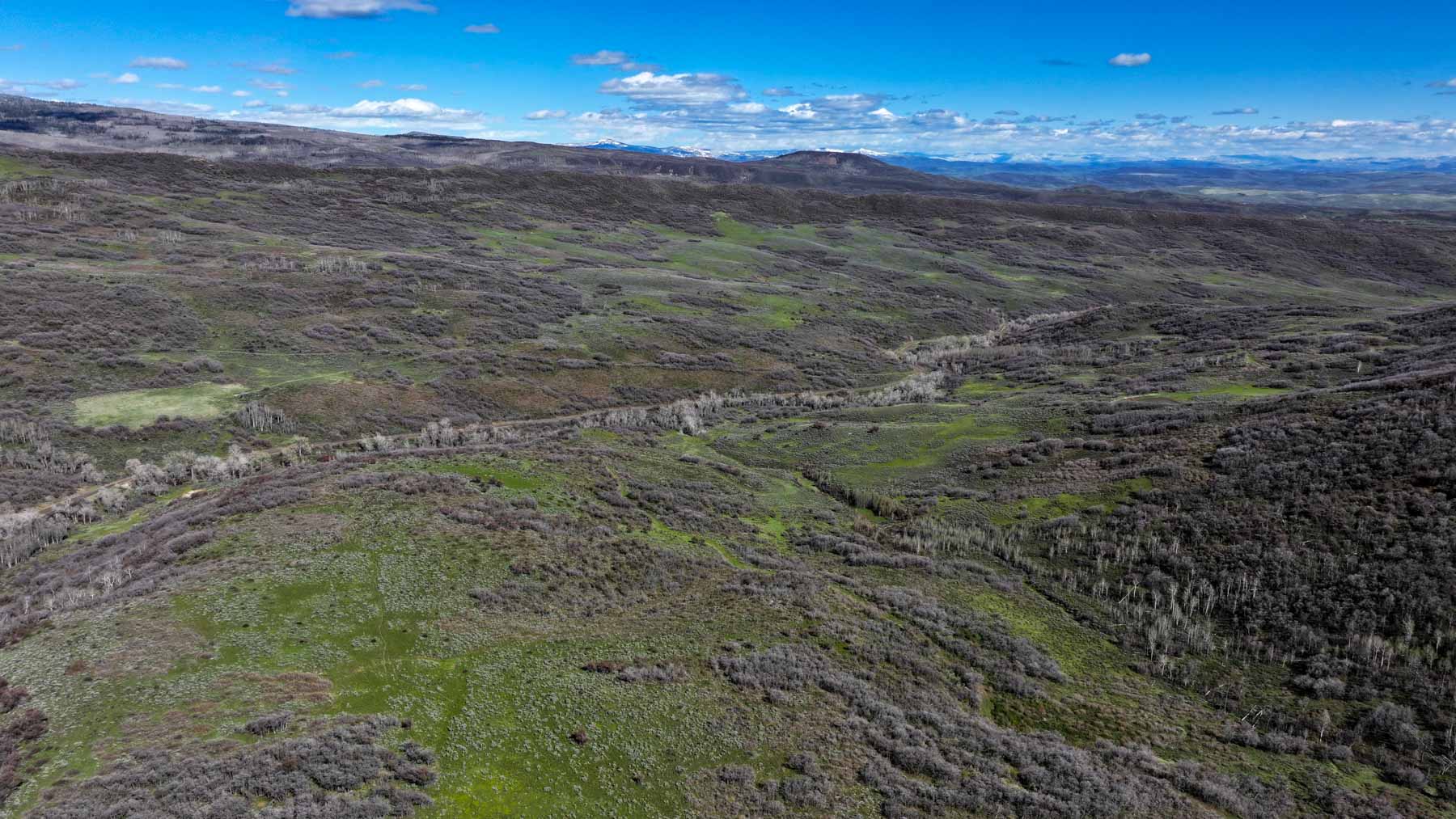 Cottonwood Ranch property picture 10 of 52