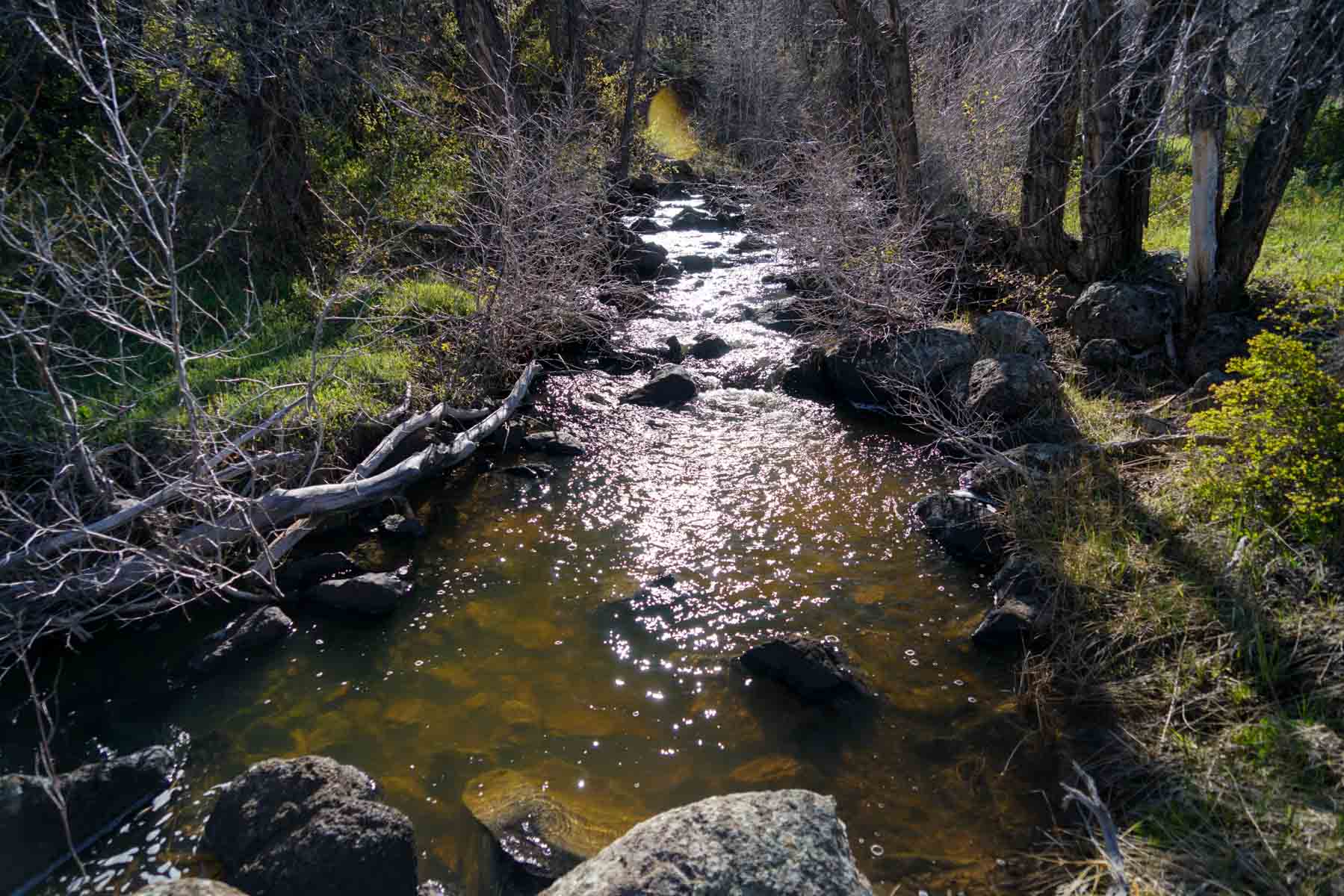 Cottonwood Ranch property picture 31 of 52