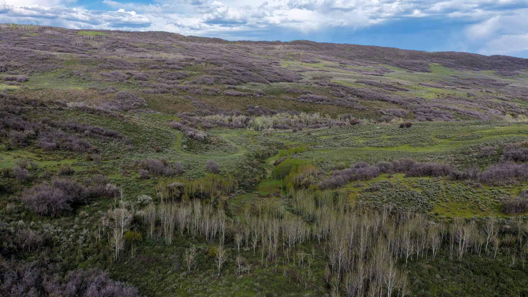 Cottonwood Ranch property picture 48 of 52