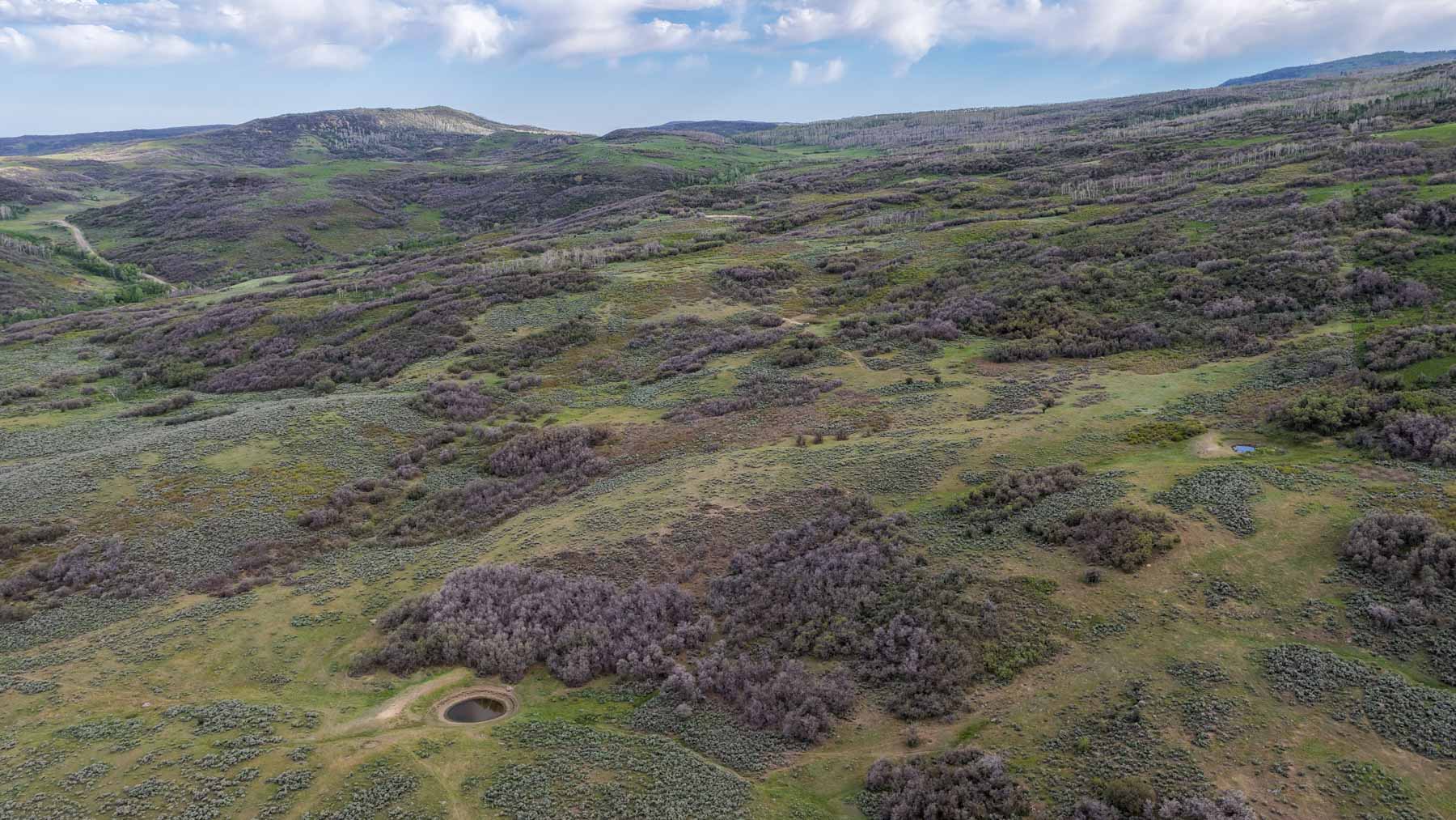 Cottonwood Ranch property picture 56 of 65