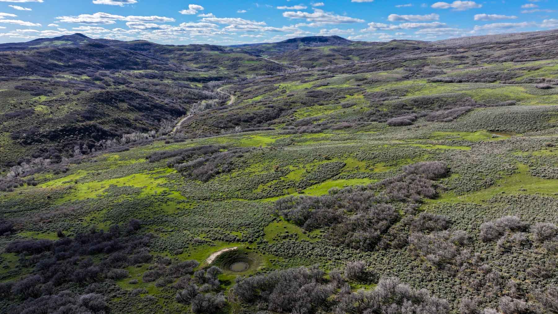 Cottonwood Ranch property picture 20 of 52