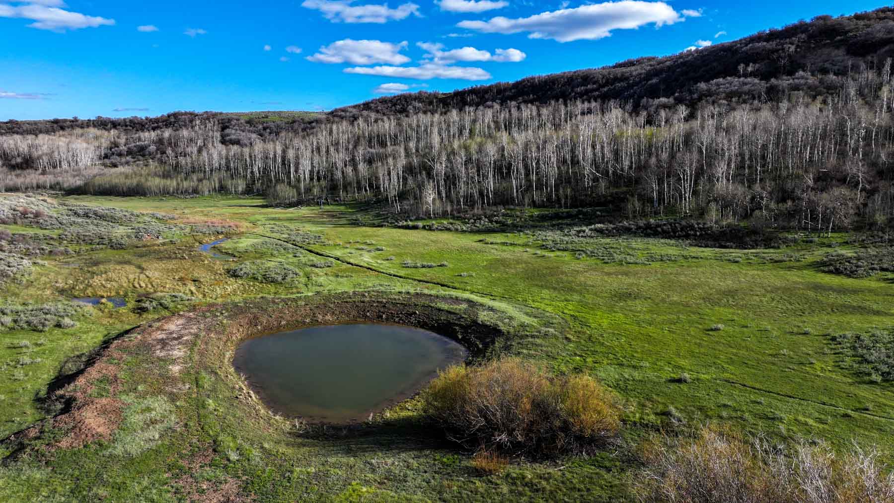 Cottonwood Ranch property picture 28 of 52