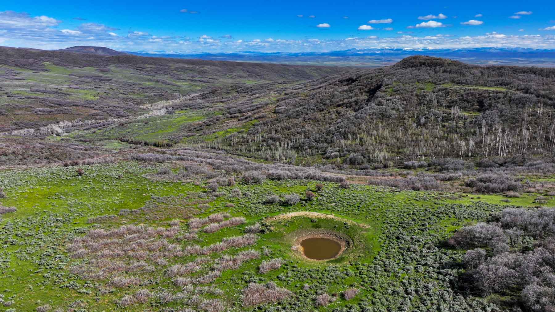 Cottonwood Ranch property picture 4 of 52