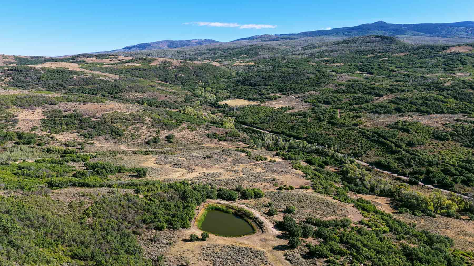 Cottonwood Ranch property picture 18 of 29