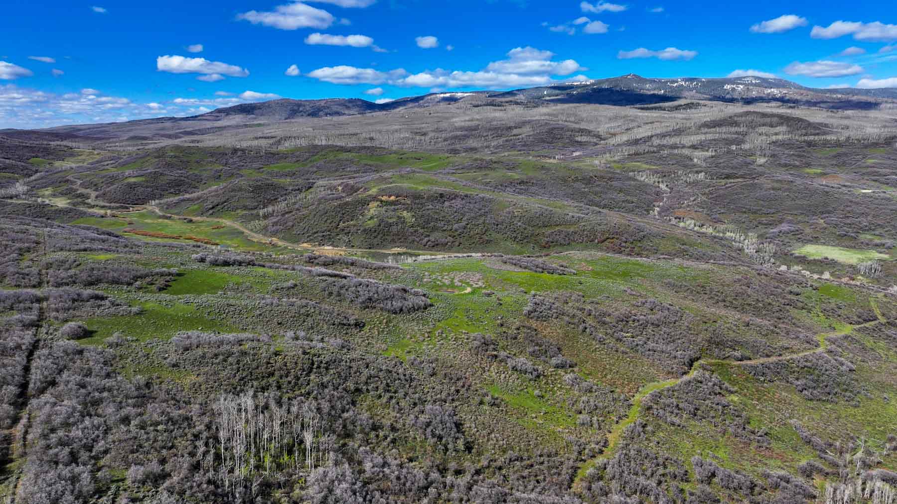 Cottonwood Ranch property picture 7 of 52