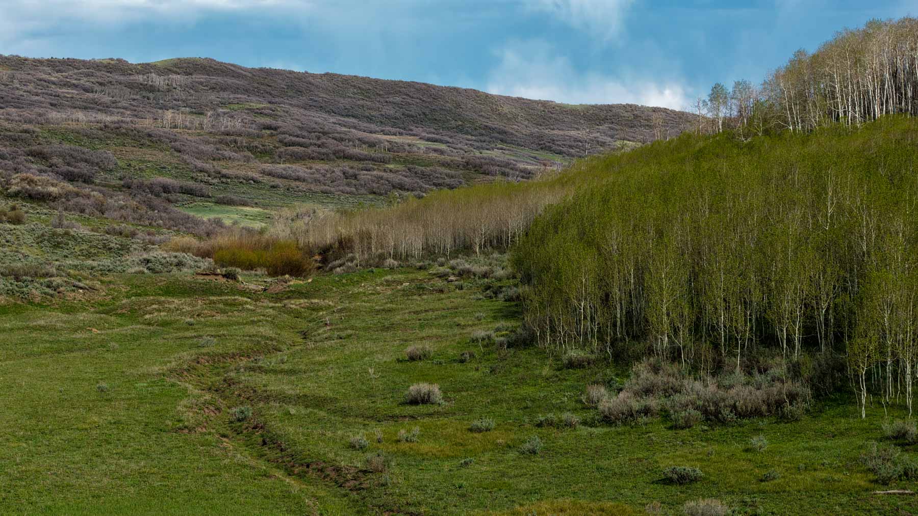 Cottonwood Ranch property picture 36 of 52