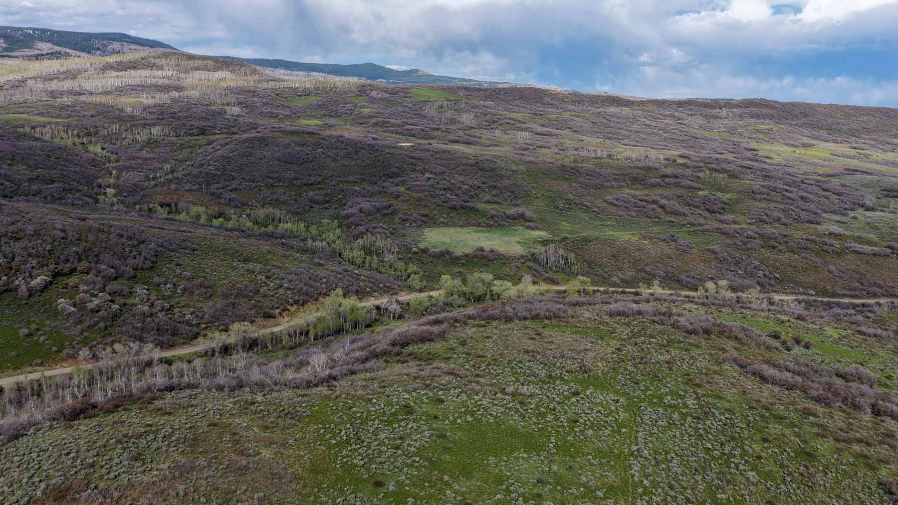 Cottonwood Ranch property picture 40 of 52