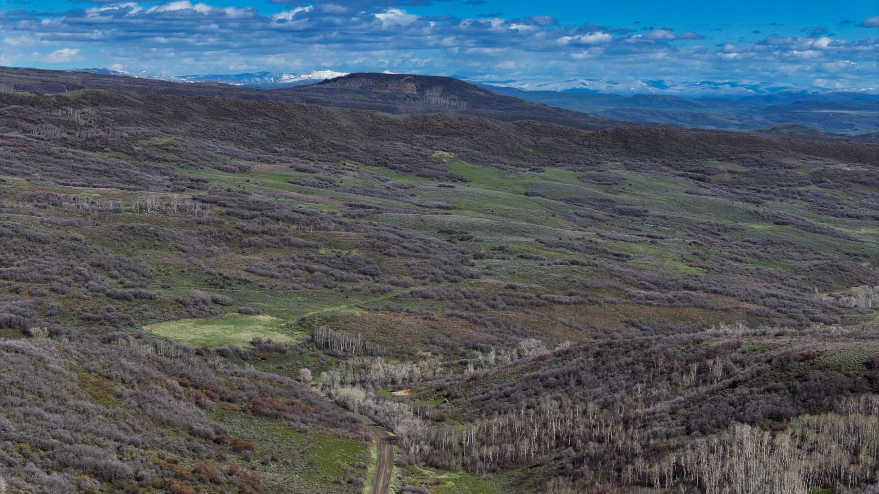Cottonwood Ranch property picture 13 of 52