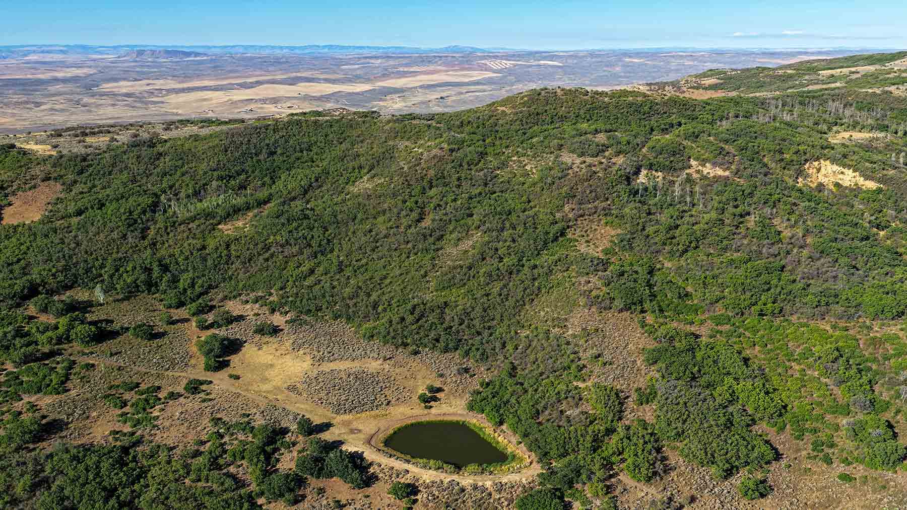 Cottonwood Ranch property picture 3 of 29