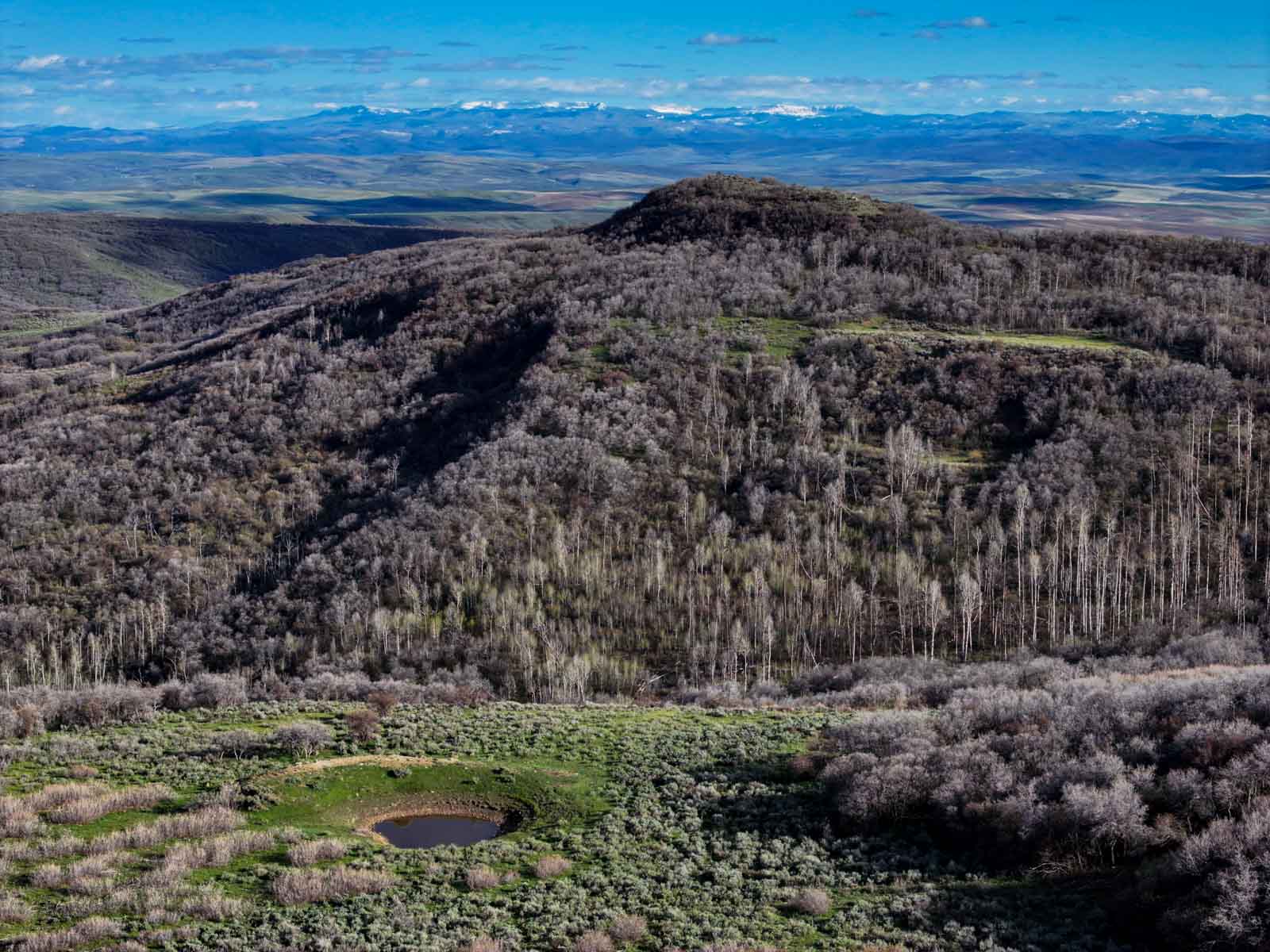 Cottonwood Ranch property picture 26 of 52