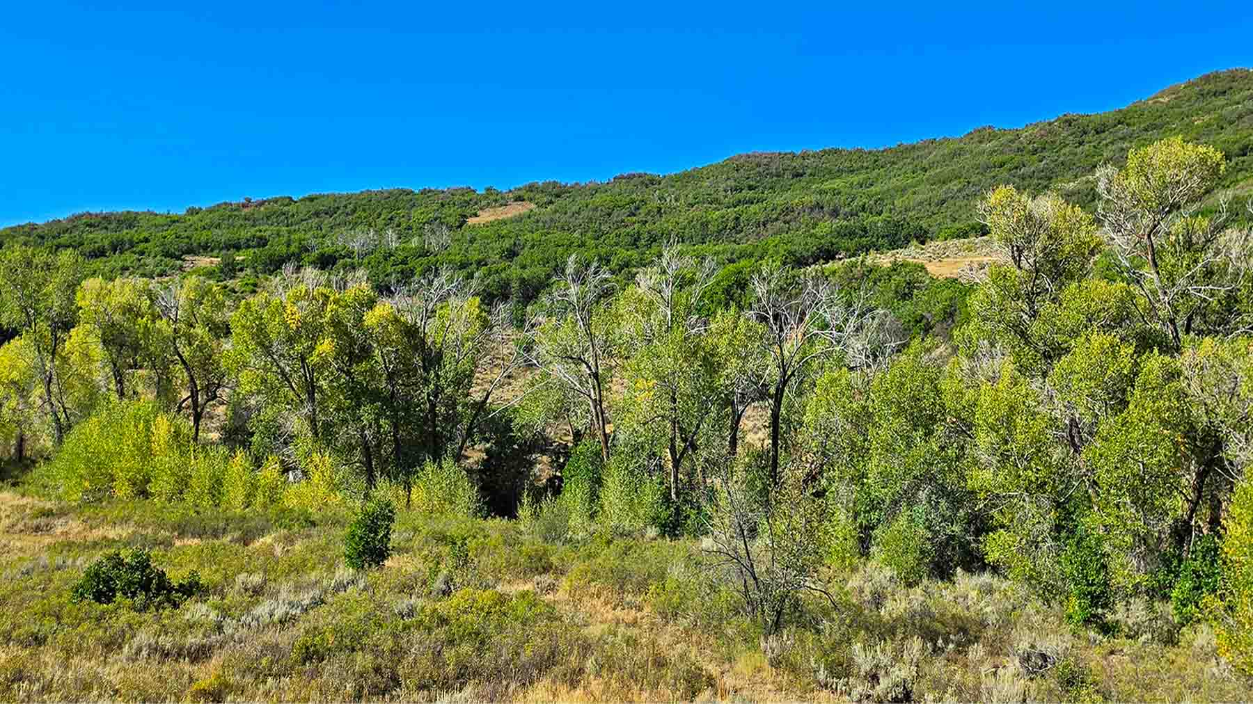 Cottonwood Ranch property picture 27 of 29