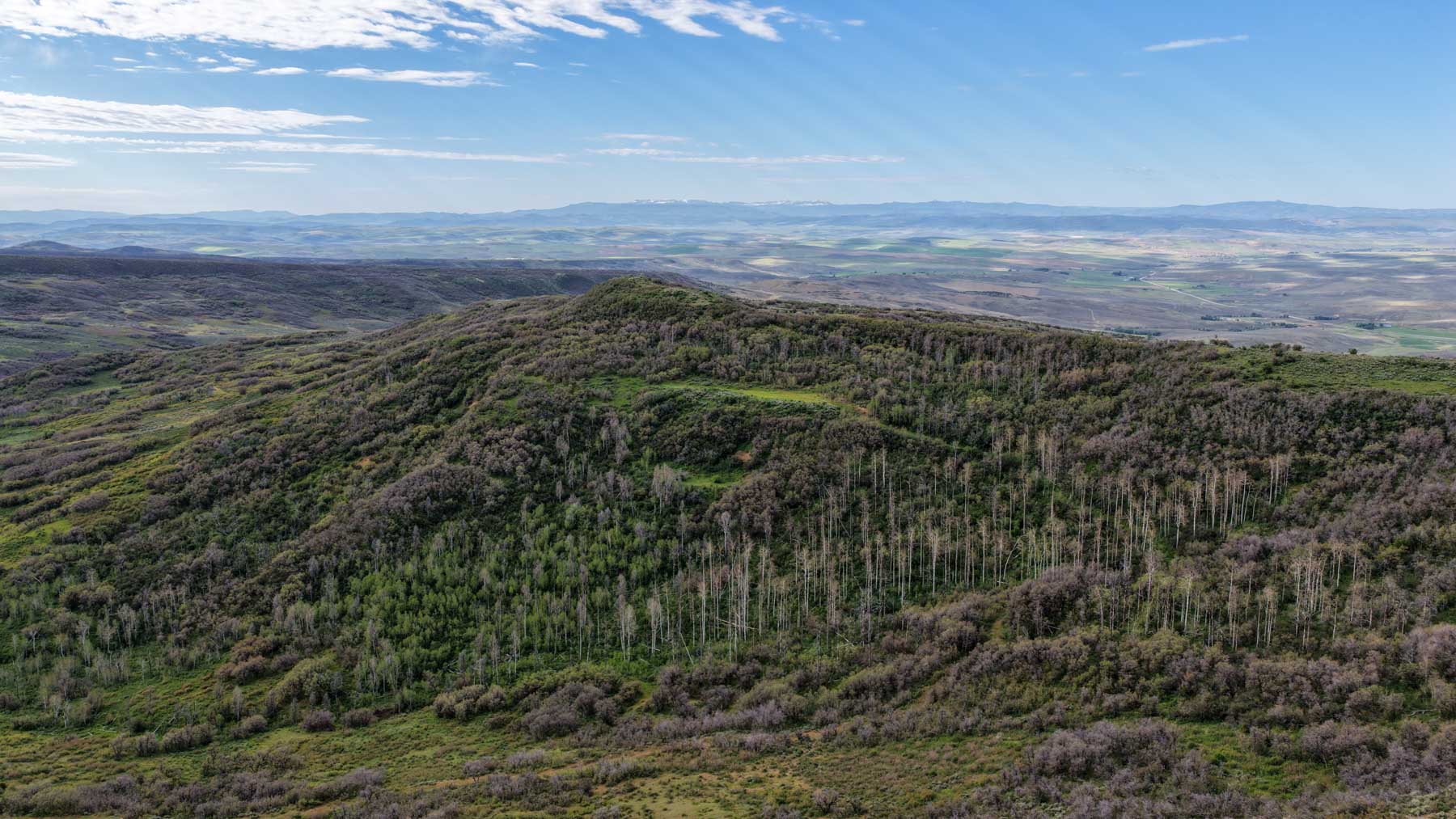 Cottonwood Ranch property picture 61 of 65