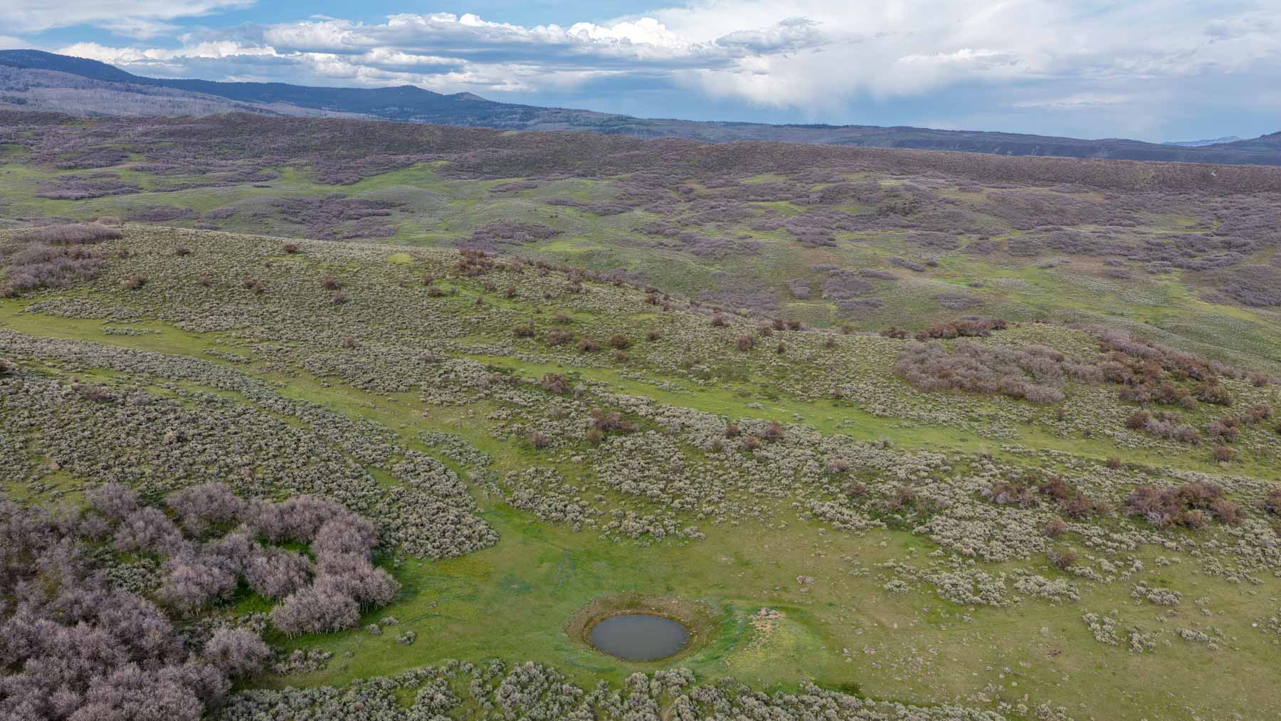 Cottonwood Ranch property picture 51 of 52