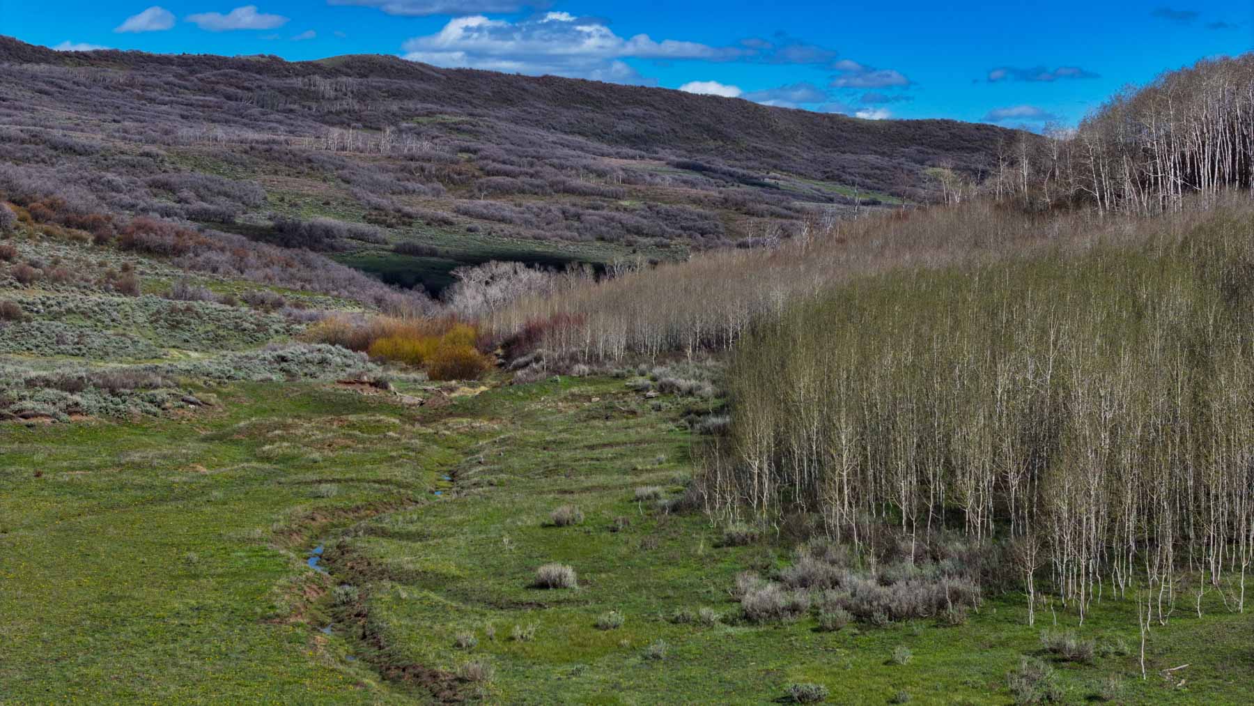 Cottonwood Ranch property picture 14 of 52