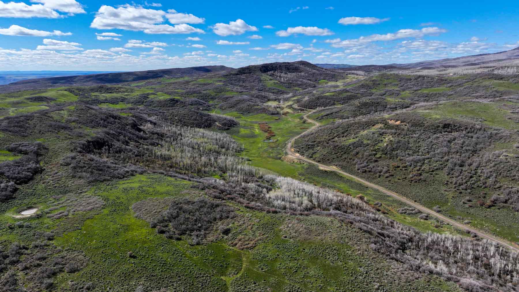 Cottonwood Ranch property picture 11 of 52