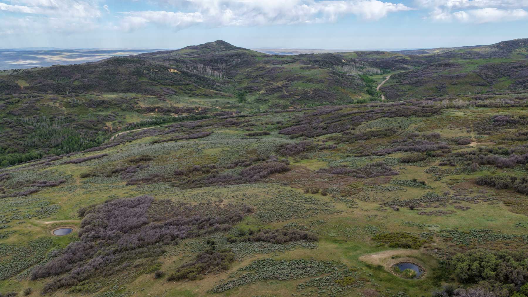 Cottonwood Ranch property picture 55 of 65